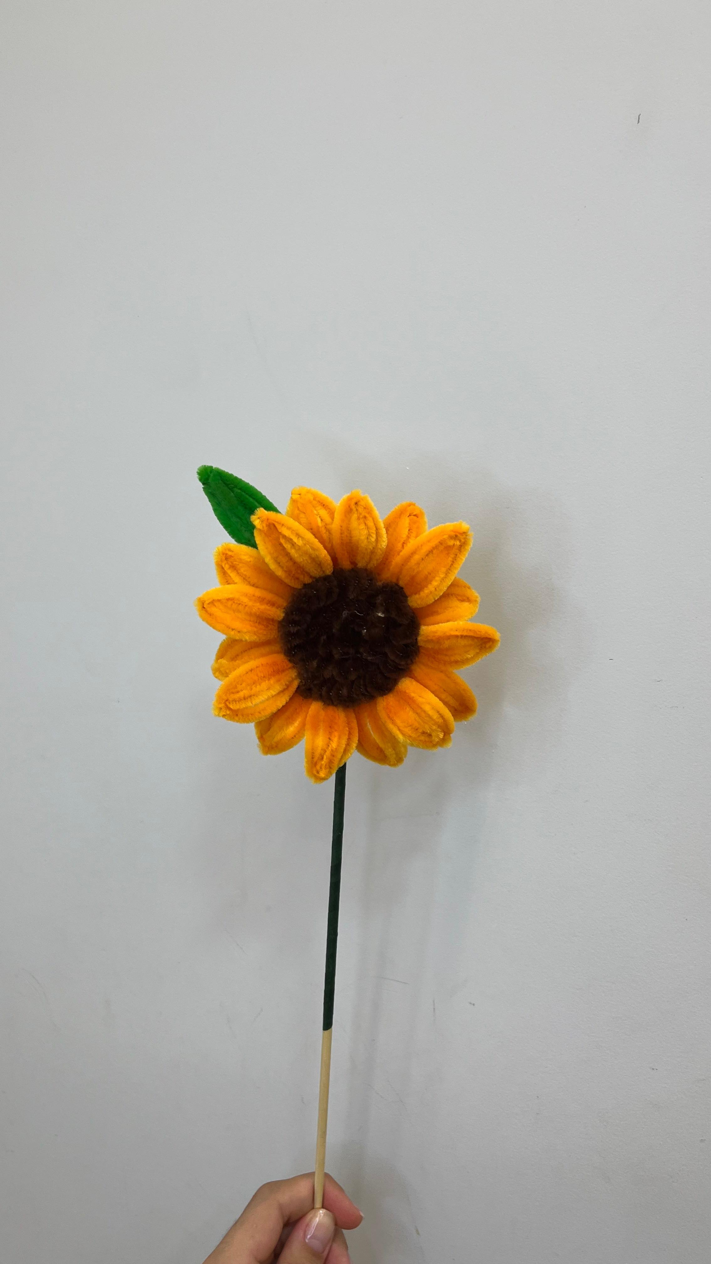 Girassol PipeFlorYou